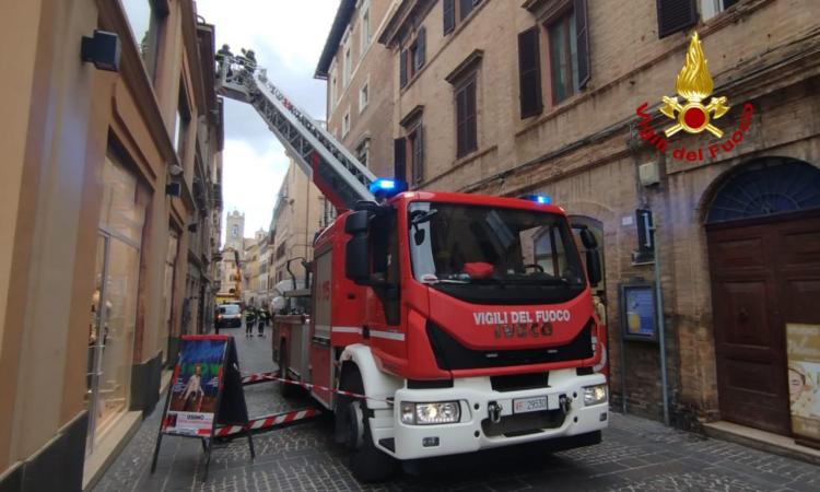 Marche sferzate dal vento: oltre 90 interventi dei vigili del fuoco per rami e alberi caduti