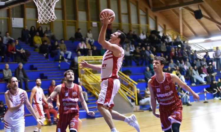 Basket, l'Halley Matelica vince contro la Goldengas Senigallia: una vittoria che blinda il primo posto Basket, l'Halley Matelica vince contro la Goldengas Senigallia: una vittoria che blinda il primo posto