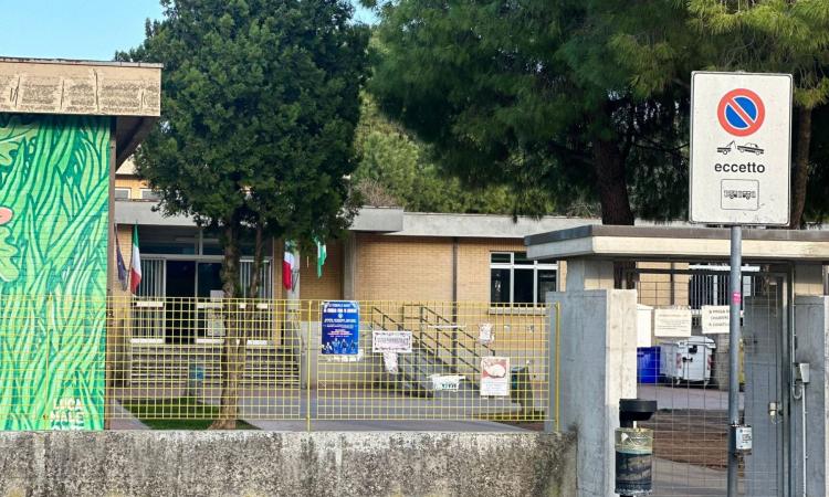 Civitanova, potature a scuola e nei quartieri: 280 mila euro per la manutenzione del verde