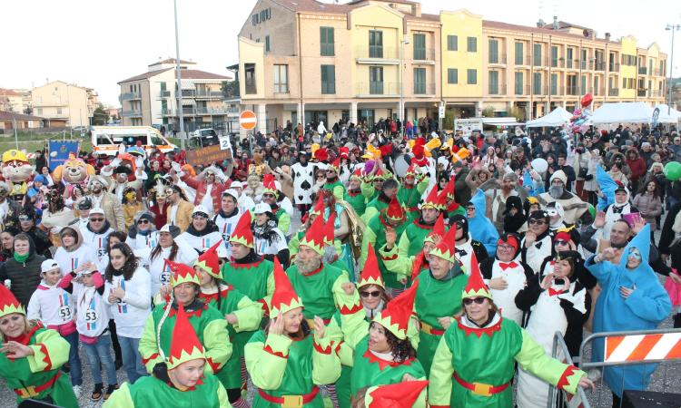 Morrovalle, il Carnevale di Trodica apre i festeggiamenti in provincia di Macerata Morrovalle, il Carnevale di Trodica apre i festeggiamenti in provincia di Macerata