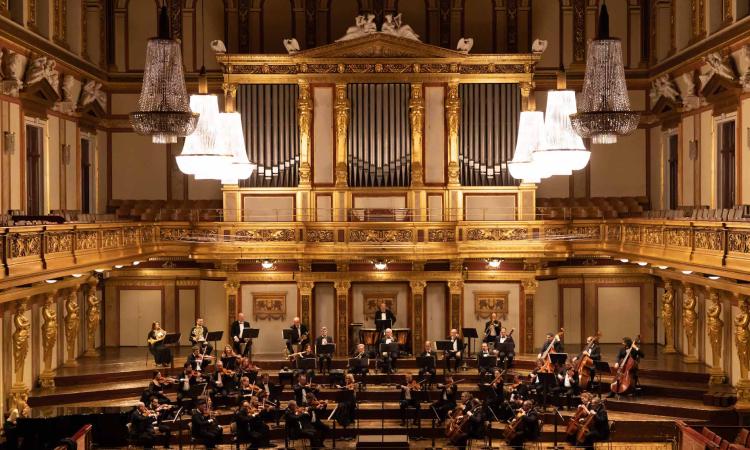 Form a Macerata con "Natura in Musica": un concerto per tutte le famiglie Form a Macerata con "Natura in Musica": un concerto per tutte le famiglie