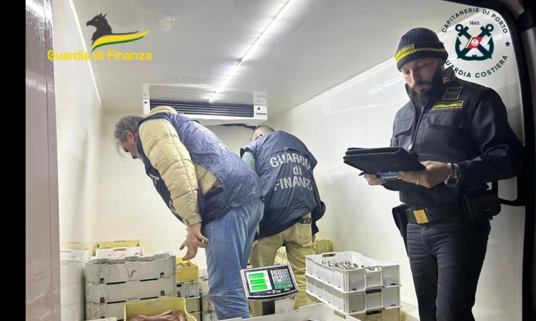 Blitz al porto di Civitanova: sequestrati 600 chili di prodotti ittici