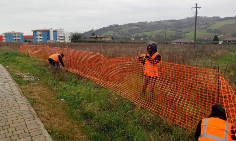 Tolentino, nuovo polo scolastico: countdown finale per l'installazione del cantiere