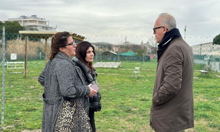 Civitanova, sopralluogo al Dog Park, al via i lavori di ripristino: "Gazebo e altre problematiche risolte a breve" Civitanova, sopralluogo al Dog Park, al via i lavori di ripristino: "Gazebo e altre problematiche risolte a breve"