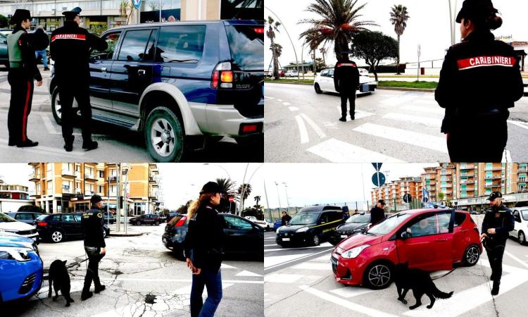 Civitanova, traffico ai raggi x sul lungomare: intensificati i controlli per contrastare la 'mala movida' Civitanova, traffico ai raggi x sul lungomare: intensificati i controlli per contrastare la 'mala movida'