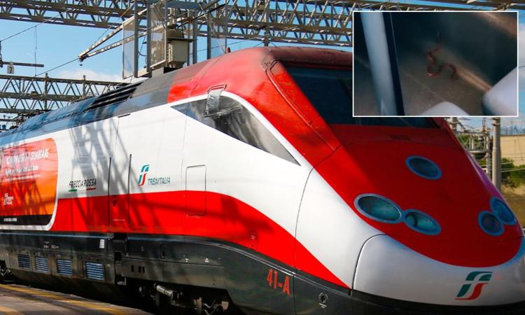 "C'è un serpente sul treno", allarme quando il Frecciarossa raggiunge Civitanova: passeggeri evacuati "C'è un serpente sul treno", allarme quando il Frecciarossa raggiunge Civitanova: passeggeri evacuati
