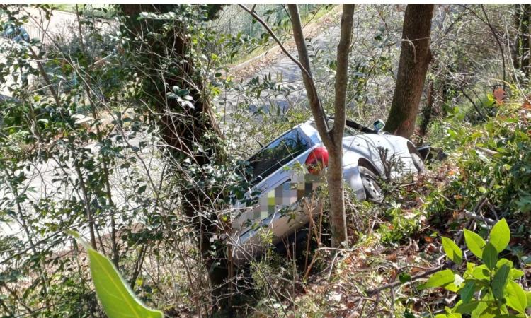 San Severino, l'auto esce di strada e finisce la sua corsa contro un albero: una donna all'ospedale San Severino, l'auto esce di strada e finisce la sua corsa contro un albero: una donna all'ospedale