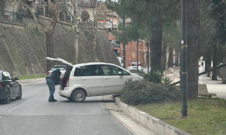 Macerata, auto finisce fuori strada in viale Puccinotti: nell'impatto divelto un palo della luce (FOTO)