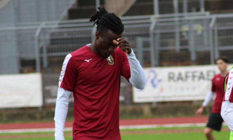 Eccellenza, ufficiale l'esclusione dell'Alma Fano: come cambia la classifica a 4 giornate dal termine Eccellenza, ufficiale l'esclusione dell'Alma Fano: come cambia la classifica a 4 giornate dal termine