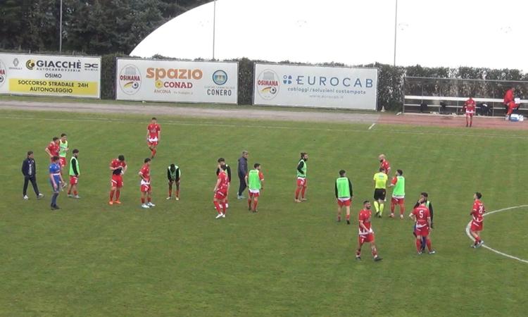 Maceratese, 'troppo bello per essere vero': Alessandroni al 94' rovina la festa: a Osimo è 1-1
