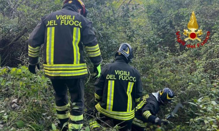 Civitanova, scomparsa per oltre 24 ore: Maria Rocchi ritrovata in un fossato a Fontespina Civitanova, scomparsa per oltre 24 ore: Maria Rocchi ritrovata in un fossato a Fontespina