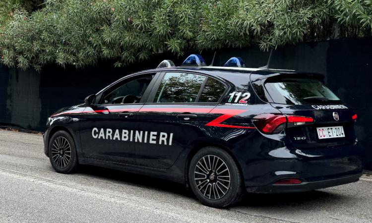 Sefro, violazione della privacy in una ditta di troticoltura: due denunciati per installazione illecita di telecamere Sefro, violazione della privacy in una ditta di troticoltura: due denunciati per installazione illecita di telecamere