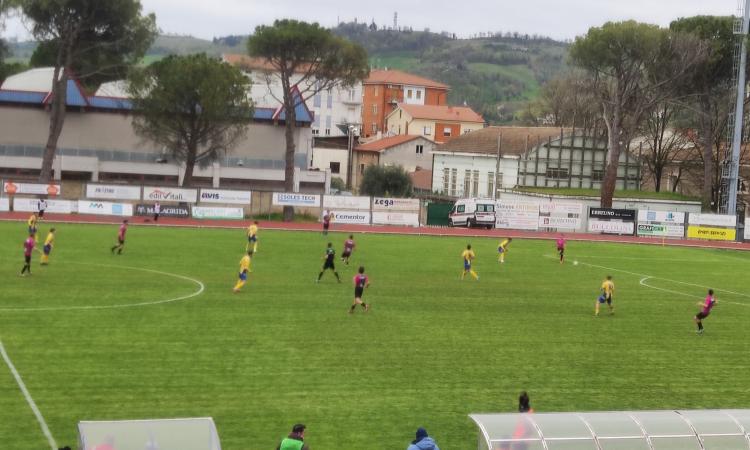 Eccellenza, il Tolentino resiste in dieci contro l'Urbino: verdetto playoff rimandato all'ultima giornata Eccellenza, il Tolentino resiste in dieci contro l'Urbino: verdetto playoff rimandato all'ultima giornata