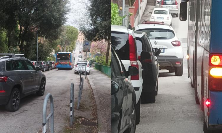 Macerata, auto parcheggiata male blocca un bus in viale Piave: traffico in tilt Macerata, auto parcheggiata male blocca un bus in viale Piave: traffico in tilt