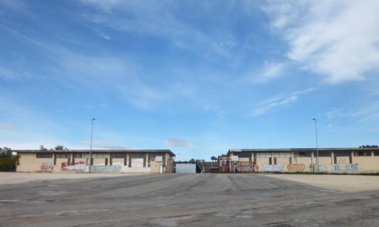 Macerata, mercato ortofrutticolo di Piediripa: in arrivo oltre 8 milioni di euro