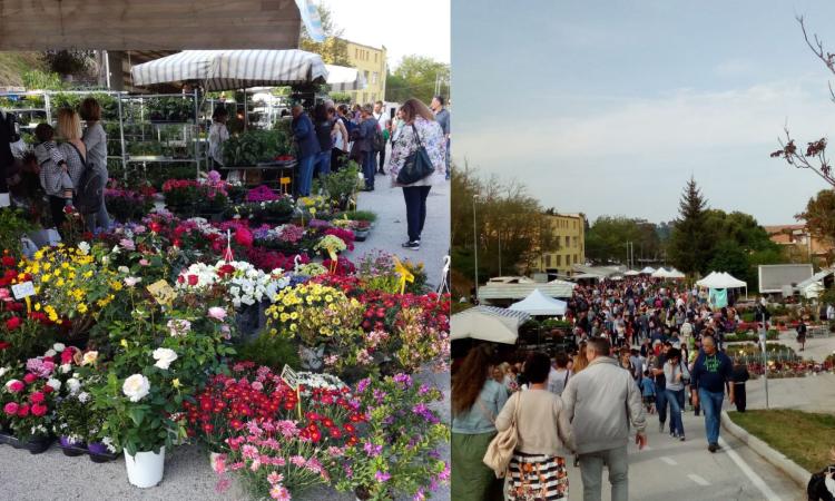 Serrapetrona, Caccamo in fiore: colori, tradizioni e sapori per celebrare il 25 aprile tra natura e bellezza