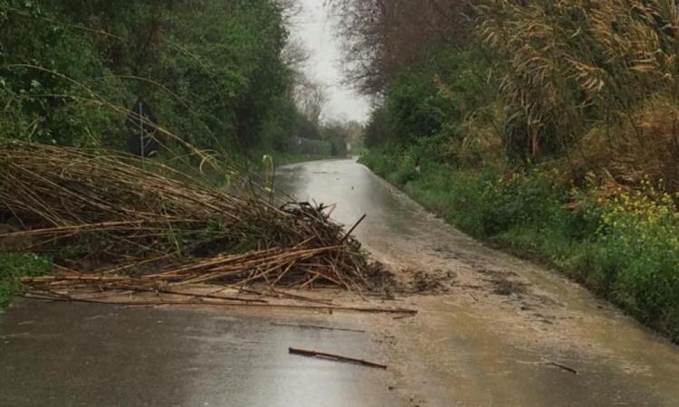 Arrivano i temporali nelle Marche: c'è l'allerta meteo della Protezione Civile