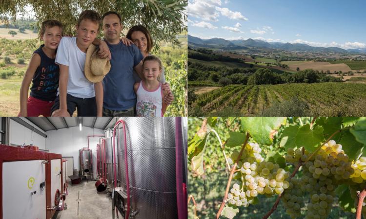 Matelica, dalla tipografia alla viticoltura biodinamica. Casa Lucciola: "L'artigianalità il nostro punto di forza"