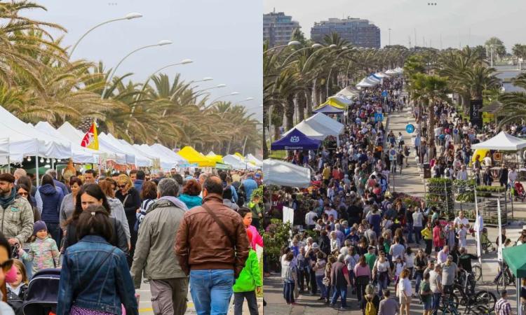 Civitanova diventa un giardino: torna la mostra mercato “Il Mare in Fiore” sul lungomare