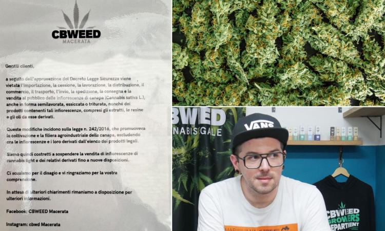 Stop alla cannabis light, a Macerata chiude lo shop: "Non sappiamo cosa fare, col Governo Meloni niente più confronto"