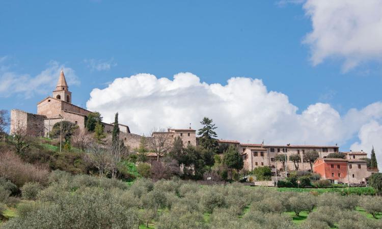 Pievefavera protagonista di "Primavera nei Borghi": visite guidate, archeologia e cultura nel cuore di Caldarola Pievefavera protagonista di "Primavera nei Borghi": visite guidate, archeologia e cultura nel cuore di Caldarola