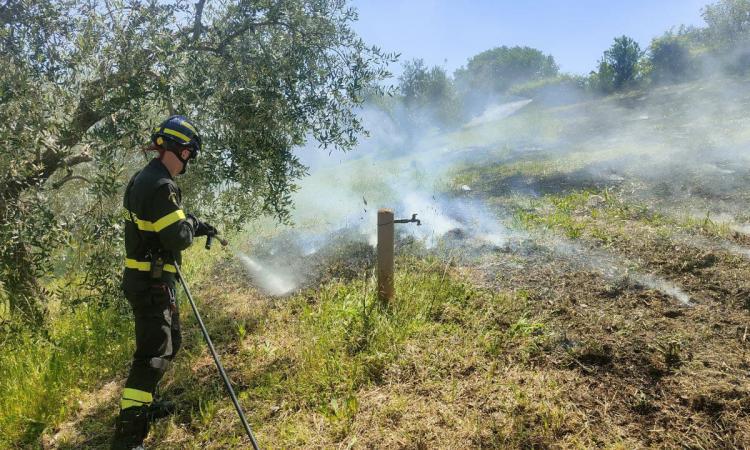 Corridonia: sterpaglie a fuoco, intervengono i vigili del fuoco