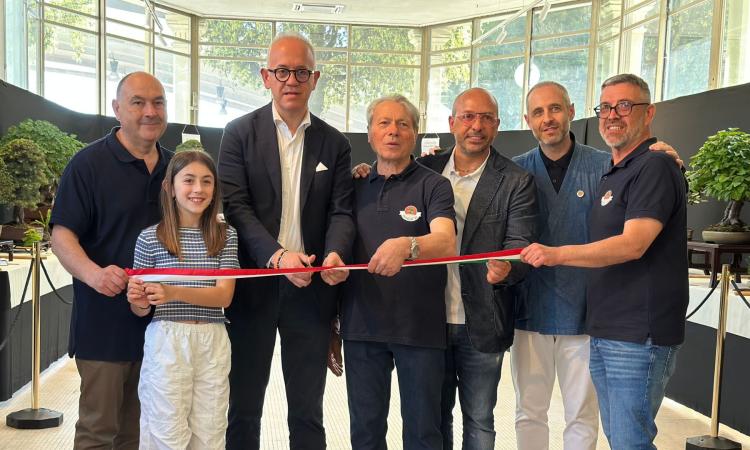 Civitanova, inaugurata la quarta mostra Bonsai: natura, arte e trent’anni di passione
