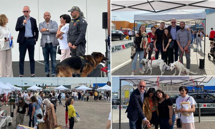 Civitanova abbraccia gli amici a quattro zampe: boom di adozioni all’evento “Adotta…mi”