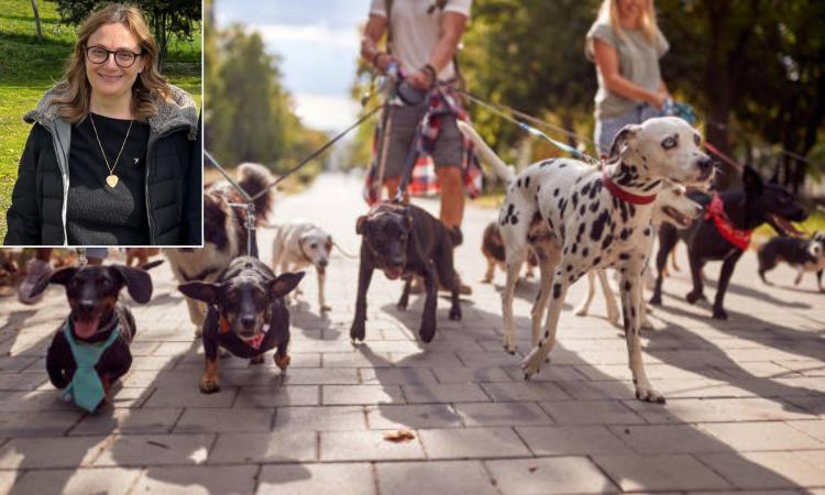 Macerata in fiore accoglie la Passeggiata a 6 zampe: evento dedicato al benessere animale Macerata in fiore accoglie la Passeggiata a 6 zampe: evento dedicato al benessere animale
