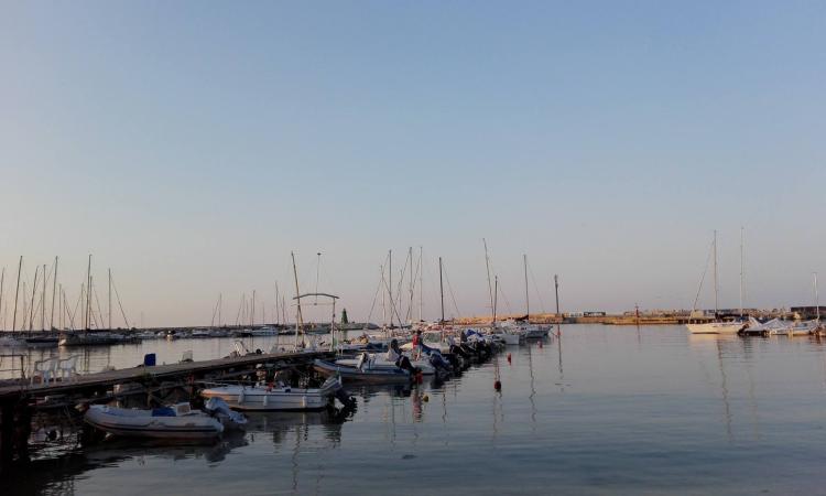 “Vivi Porto 2025”: a Civitanova torna la giornata ecologica per ripulire l’area portuale “Vivi Porto 2025”: a Civitanova torna la giornata ecologica per ripulire l’area portuale