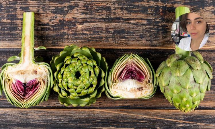 Non solo buono: il carciofo tra tradizione, scienza e benessere