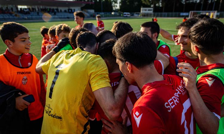 Dalla rifondazione al ritorno in Serie D: gli ultimi 10 anni della Maceratese Dalla rifondazione al ritorno in Serie D: gli ultimi 10 anni della Maceratese