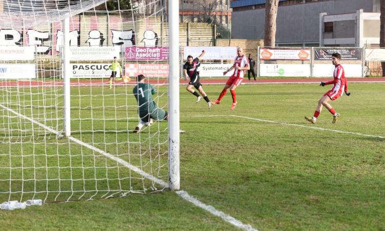 Eccellenza - Montecchio-Tolentino, chi vince la finale playoff accede alla fase nazionale: possibili avversarie, regolamento e date