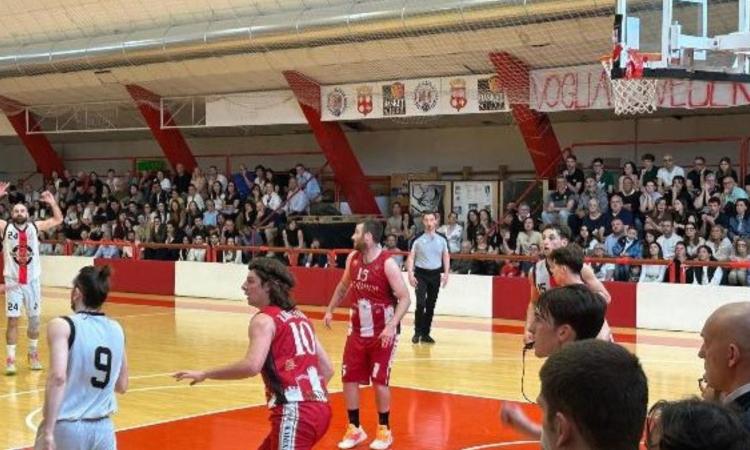 Lo sport maceratese vola: due promozioni già in tasca, il basket sogna la terza. Al via la finale playoff Lo sport maceratese vola: due promozioni già in tasca, il basket sogna la terza. Al via la finale playoff