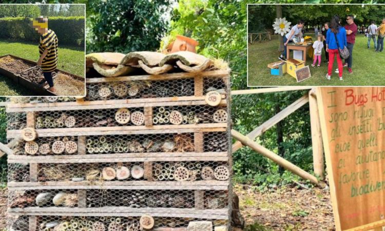 A Mogliano torna "Il Sentiero delle Api": una giornata per celebrare la natura e sensibilizzare i più piccoli A Mogliano torna "Il Sentiero delle Api": una giornata per celebrare la natura e sensibilizzare i più piccoli