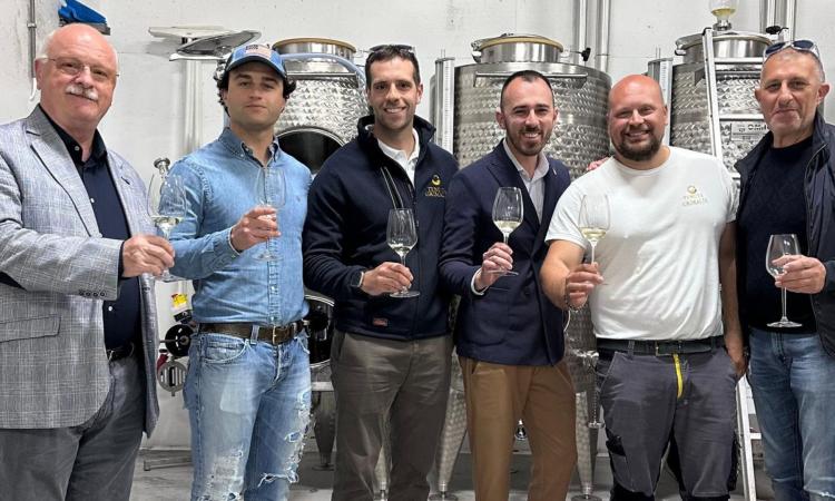 Cantine Aperte brinda al successo: Matelica accoglie visitatori da tutta Italia e dall’estero Cantine Aperte brinda al successo: Matelica accoglie visitatori da tutta Italia e dall’estero