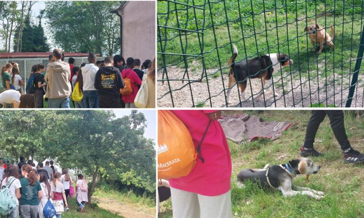 Macerata, "Educazione al rispetto degli animali": le prime classi del 'Fermi' in visita al canile cittadino
