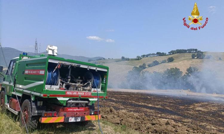 Sterpaglie a fuoco in un campo: bruciato un ettaro di terreno Sterpaglie a fuoco in un campo: bruciato un ettaro di terreno
