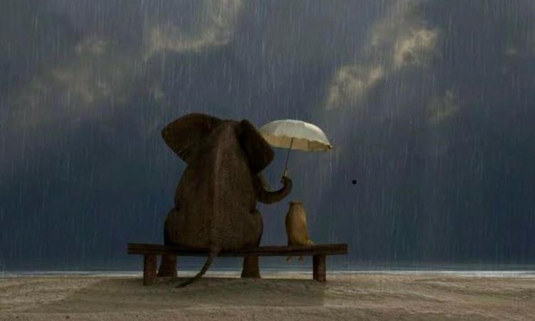 "Be Kind", il potere della gentilezza "Be Kind", il potere della gentilezza