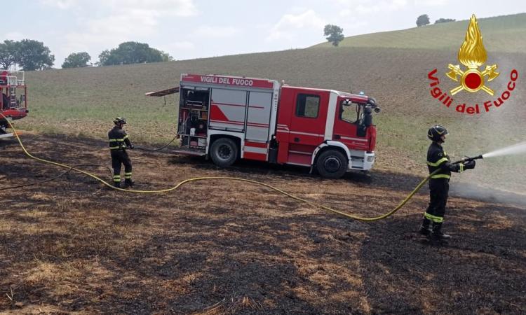 San Severino, incendio a Serralta: in fiamme sterpaglie e 15 rotoballe di fieno, bruciati 1,5 ettari