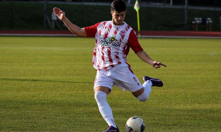 Maceratese, altra conferma nel pacchetto arretrato: Mastrippolito sarà biancorosso anche in Serie D