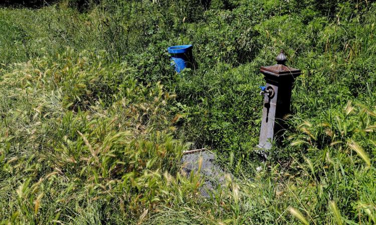 "Pulizia delle aree verdi? Ci pensano i giovani": a Macerata torna 'Ci sto? Affare Fatica'