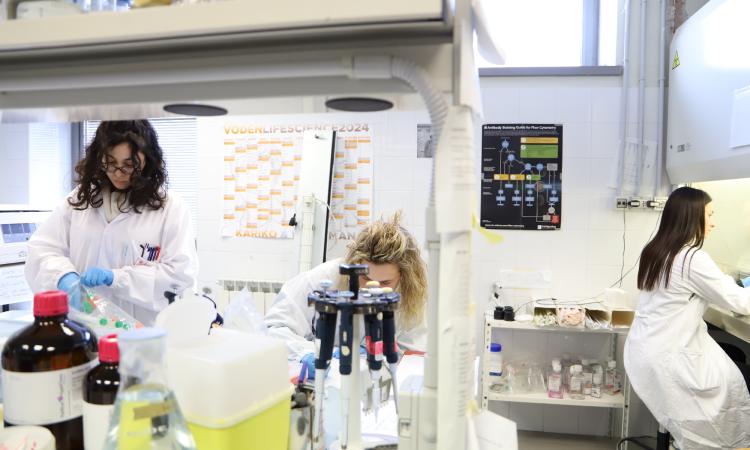 Unicam, "l’87% dei laureati magistrali è occupato a cinque anni dal titolo"