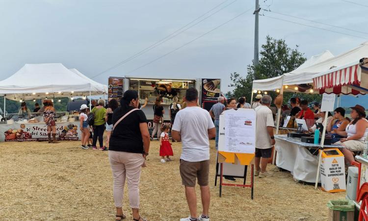 Tolentino Country: torna il weekend tra musica, balli e sapori di collina Tolentino Country: torna il weekend tra musica, balli e sapori di collina