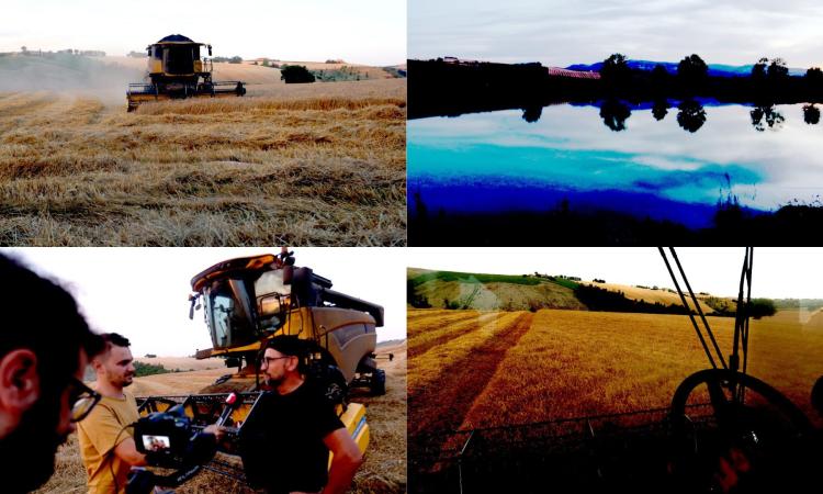 Dura come il grano, dorata come i campi: la stagione della trebbiatura nel Maceratese (FOTO e VIDEO)