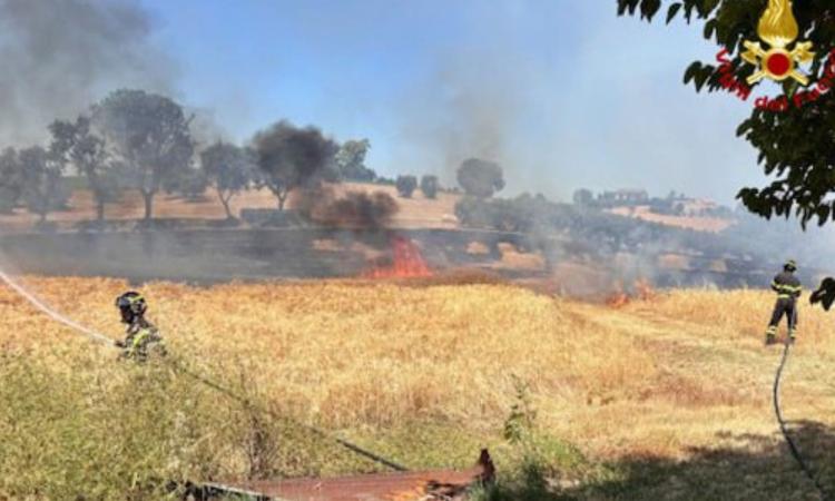 Recanati, vasto incendio in un campo di grano: messa in sicurezza un'abitazione vicina Recanati, vasto incendio in un campo di grano: messa in sicurezza un'abitazione vicina