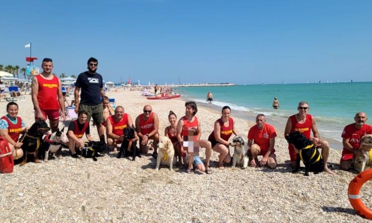 Civitanova, i cani eroi della Pegasus in azione: salvataggio in mare allo chalet Croce del Sud Civitanova, i cani eroi della Pegasus in azione: salvataggio in mare allo chalet Croce del Sud