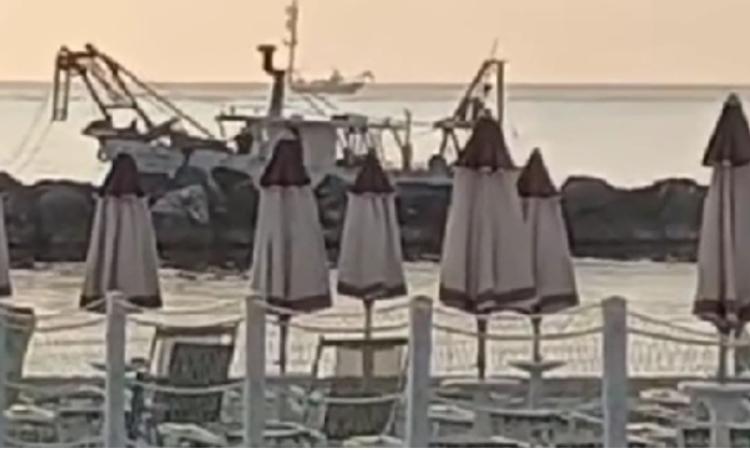 Pesca illegale a Civitanova: vongolara sanzionata dalla Guardia Costiera