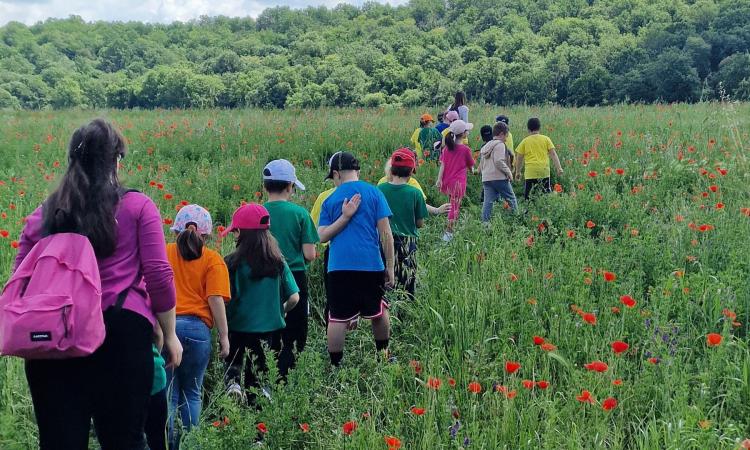 Turismo scolastico in crescita all’Abbadia di Fiastra: +80% nel 2025 Turismo scolastico in crescita all’Abbadia di Fiastra: +80% nel 2025