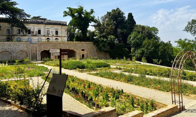 Treia riscopre il suo orto pomario: un omaggio ai frutti antichi a villa spada